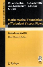 MATHEMATICAL FOUNDATION OF <em>TURBULENT</em> VISCOUS <em>FLOWS</em>