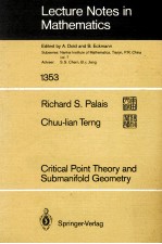 LECTURE NOTES <em>IN</em> MATHEMATICS 1353: CRITICAL PO<em>IN</em>T <em>THEORY</em> AND SUBMANIFOLD GEOMETRY