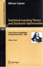 STATISTICAL <em>LEARNING</em> THEORY AND STOCHASTIC OPTIMIZATION