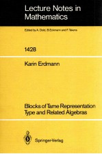 LECTURE NOTES <em>IN</em> MATHEMATICS 1428: BLOCKS OF TAME REPRESENTATION TYPE <em>AND</em> RELATED ALGEBRAS