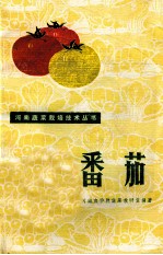 河南蔬菜栽培技术丛书  番茄  修订本