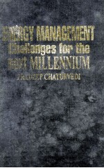 ENERGY <em>MANAGEMENT</em> CHALLENGES FOR THE NEXT MILLENNIUM