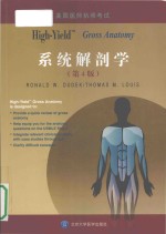 High-yield gross anato<em>m</em>y = High-yield系统解剖学(第4版）