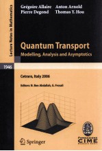<em>QUANTUM</em> TRANSPORT: MODELLING