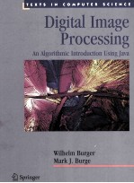 Digital Image Processing An Algorithmic Introduction Using Jave First <em>Edition</em>