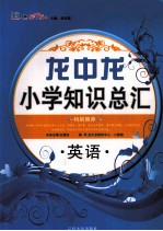 龙中龙小学知识总汇  英语
