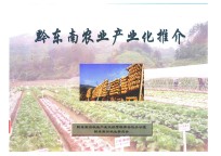 黔东南农业产业化推介