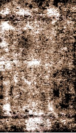 附释音周礼<em>注</em>疏卷  第23-24