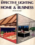 <em>EFFECTIVE</em> LIGHTING <em>FOR</em> HOME & BUSINESS
