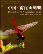 <em>中国</em>·南昆山蜻蜓