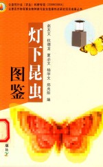 <em>灯下</em>昆虫图鉴