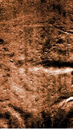 经史百家杂钞  卷19-20