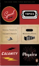 SPECIAL <em>TOPICS</em> <em>IN</em> CALAMITY PHYSICS
