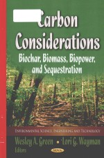 <em>Carbon</em> considerations biochar