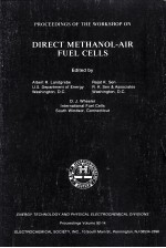 PROCEEDINGS OF <em>THE</em> WORKSHOP ON DIRECT METHANOL-AIR FUEL CELLS