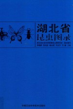 湖北省昆虫图录