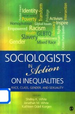 Sociologists in Acti<em>on</em> <em>On</em> Inequalities Race