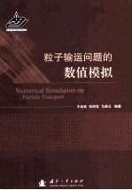 粒子输运问题的数值模拟