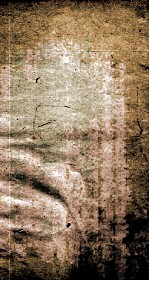 附释音毛诗<em>注</em>疏卷第十三之一至三