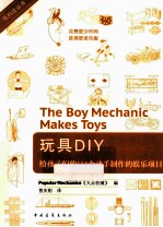 玩具DIY  给孩子们的114个动手制作的娱乐项目