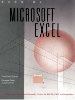 <em>Microsoft</em> Excel