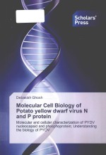 Molecular cell biology <em>of</em> potato yellow dwarf virus N and P protein molecular and cellular character