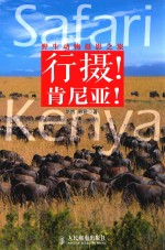 野生动物摄影之旅  行摄!肯尼亚!