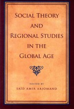 Social <em>Theory</em> and Regional Studies <em>in</em> the Global Age