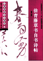 经典碑帖导学教程  草  徐青藤草书自书诗帖