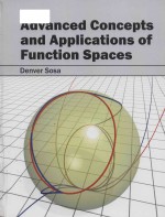 <em>Advanced</em> concepts and <em>applications</em> of function spaces