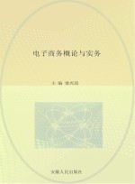 电子商务<em>概论</em>与实务