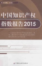 中国知识产权指数报告  2015