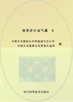 致密岩石油气藏  9
