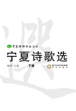 宁夏诗歌选  下