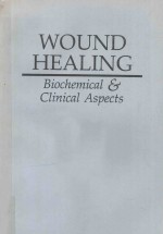 WOUND HEALING BIOCHE<em>MI</em>CAL & CLINICAL ASPECTS