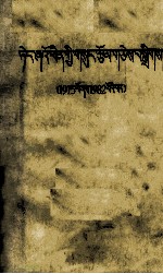 邓小平文选  一九七五-一九八二年  藏文