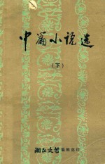中篇小说选  下