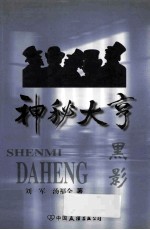 神秘大享  3  黑影