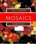 MOSAICS: FOCUSING <em>ON</em> ESSAYS THIRD EDITI<em>ON</em>