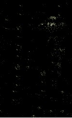 MODERN PILING <em>PRACTICE</em>