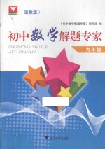 初中数学解题<em>专家</em>  九年级  浙教版