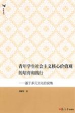 青年学生社会主义核心价值观的培育和践行  基于多元文化的视角