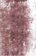 Fourier <em>Series</em>