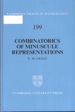 Co<em>mb</em>inato<em>ri</em>cs of <em>Mi</em>nuscule <em>Re</em>p<em>re</em>sentations
