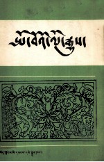 波密史  藏文