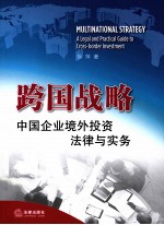 跨国战略  中国企业境外<em>投资</em>法律与实务