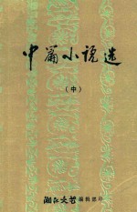 中篇小说选  中