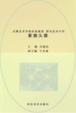 名牌美术学校经典教案  野风美术中学  素描头像