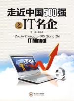 走近中国500强之IT名企