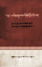 党的<em>组织</em>工作问答  藏文